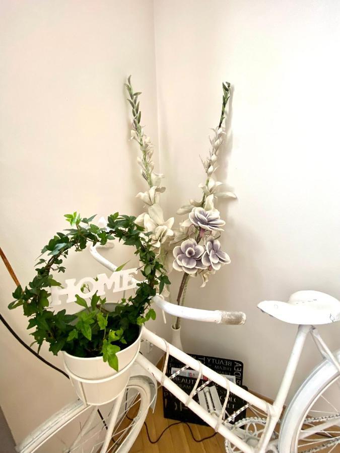Fantastic In The Center Apartment Prag